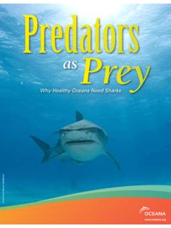 Predators as Prey - Oceana
