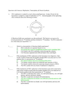 Questions with Answers- Replication, Transcription ...