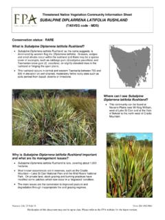 Threatened Native Vegetation Community Information Sheet