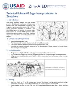 Technical Bulletin #3 Sugar bean production in Zimbabwe
