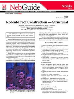 Rodent-Proof Construction — Structural