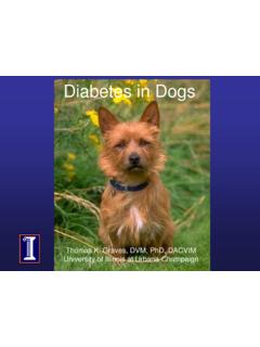 Diabetes in Dogs - Australian Terrier Club of America