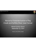 Bacteria Characterization of Big Creek and Buffalo …