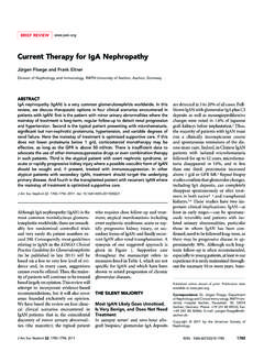 Current Therapy for IgA Nephropathy - American …