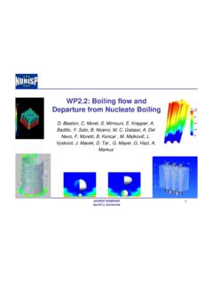 WP2.2: Boiling flow and Departure from Nucleate …