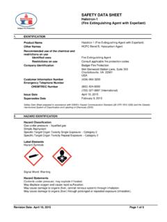 SAFETY DATA SHEET Halotron-1 (Fire Extinguishing Agent ...
