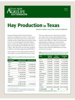 Hay Production - Texas A&amp;M University