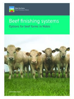 Beef ﬁnishing systems - Home | HCC / Meat Promotion Wales