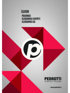 CILINDRI - Pedrotti