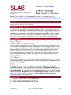 Sodium Hydroxide ENVIRONMENT, SAFETY, HEALTH, AND …