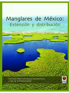 Manglares de M&#233;xico - biodiversidad.gob.mx