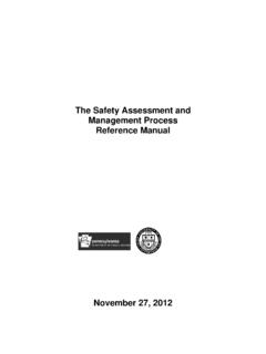The Safety Assessment and Management Process Reference …