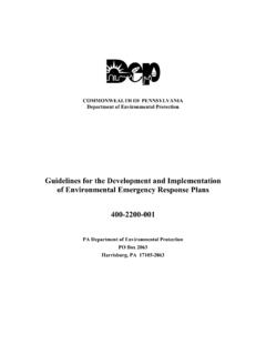 Guidelines for the Development and Implementation of ...
