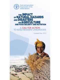 The impact of natural hazards and disasters on agriculture ...