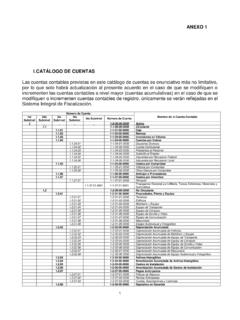 ANEXO 1 I.CAT&#193;LOGO DE CUENTAS - IEPC-DURANGO