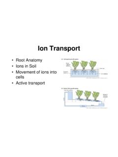 Ion Transport - Western Oregon University
