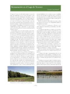 restauraci&#243;n en el lago de texcoco - biodiversidad.gob.mx