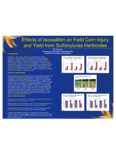 Effects of Isoxadifen on Field Corn Injury and Yield …