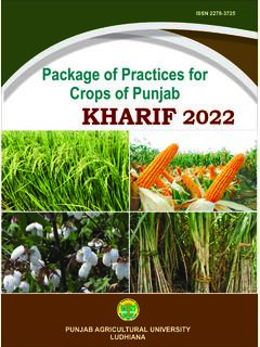 PACKAGE OF PRACTICES - Punjab Agricultural University