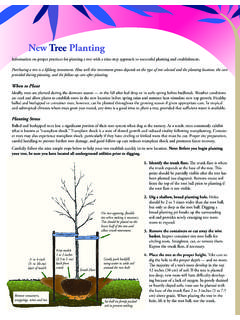 New Tree Planting - TreesAreGood