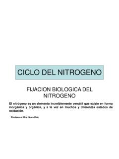 CICLO DEL NITROGENO - iib.unsam.edu.ar