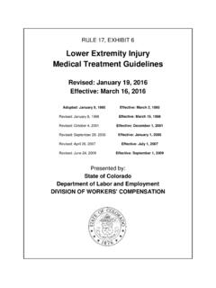 Lower Extremity Injury Medical Treatment Guidelines