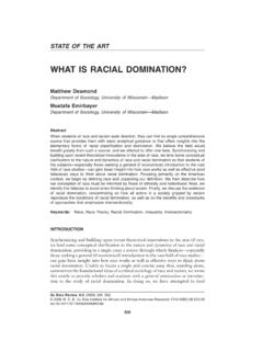 WHAT IS RACIAL DOMINATION? - Harvard University