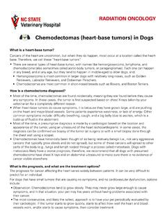 Chemodectomas (heart-base tumors) in Dogs