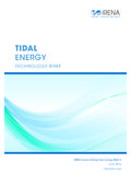Tidal Energy Technology Brief - irena.org