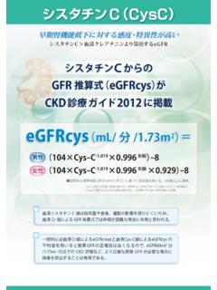 シスタチンC CysC - falco.co.jp
