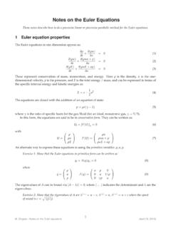 Notes on the Euler Equations