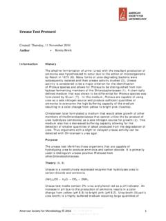 Urease Test Protocol - American Society for Microbiology