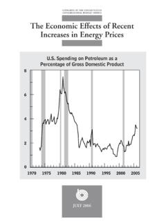 The Economic Effects of Recent Increases in Energy Prices