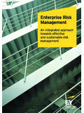 Enterprise Risk Management - EY