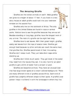 The Amazing Giraffe - Little Worksheets