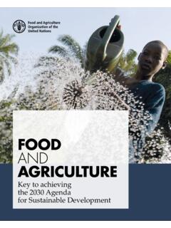 FOOD AND AGRICULTURE - United Nations