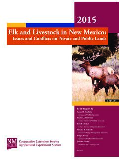 Elk and Livestock in New Mexico - College of Agricultural ...