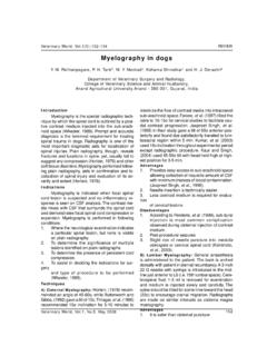 Myelography in dogs - Veterinary World