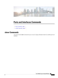 Ports and Interfaces Commands