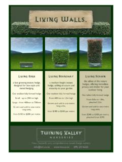 Living Boundary Living Screen - Twining Valley Nurseries