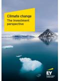 Climate change: The investment perspective - EY
