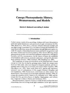 Canopy Photosynthesis: History, Measurements, and Models