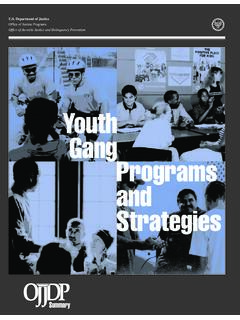 Youth Gang Programs and Strategies - Office of Justice ...