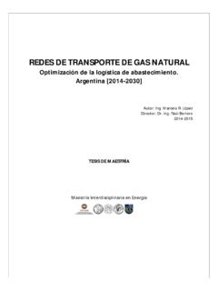 REDES DE TRANSPORTE DE GAS NATURAL - ceare.org