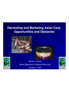 Harvesting and Marketing Asian Carp: Opportunities and ...