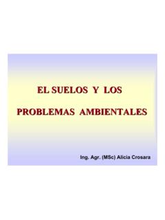 EL SUELOS Y LOS PROBLEMAS AMBIENTALES - fcien.edu.uy
