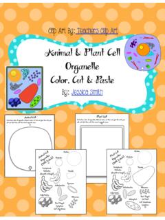 Cell Color, Cut &amp; Paste - Weebly