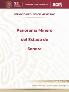 Panorama Minero del Estado de Sonora