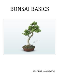 BONSAI BASICS - Central Florida Bonsai Club