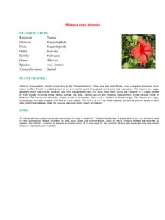 Hibiscus rosa-sinensis - National Botanical Research ...